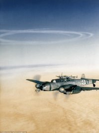 Насколько я понимаю это ночной истребитель Bf.110 с радаром FuG 202/220 «Lichtenstein» и неправильной музыкой