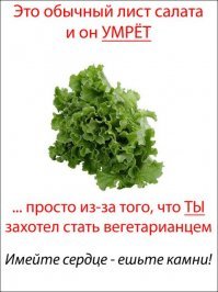 Вегетарианская еда, от которой у вас потекут слюнки