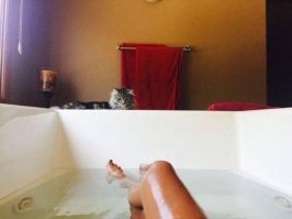 Кошачьи демотиваторы