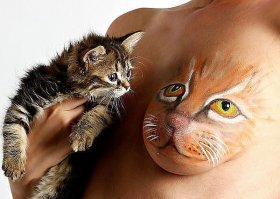 Кошачьи демотиваторы