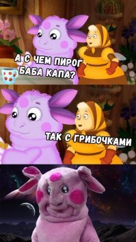 Грибы на улицах наших городов (настоящие)