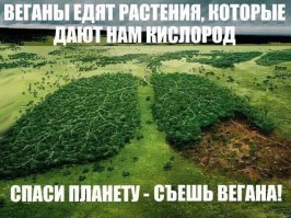 Вегетарианская еда, от которой у вас потекут слюнки