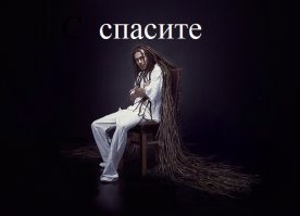 Польские зоозащитники спасли жутко заросшего пса от гибели