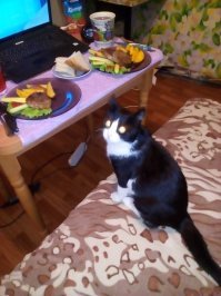 Двое, такие же как мой)))