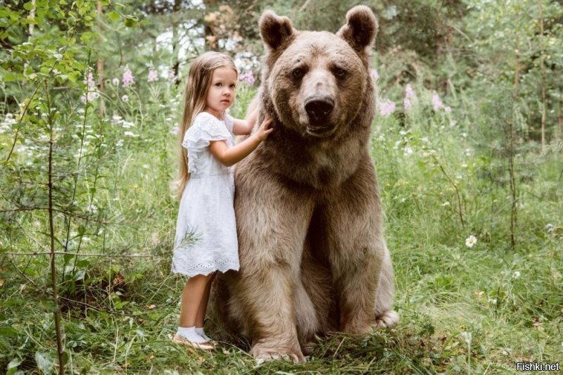 Вот и я думаю- накуя ручному медведю Степану фотожоп?