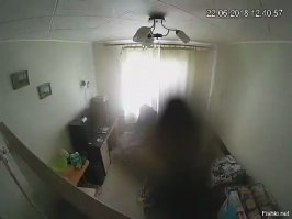 Мне однажды пришло уведомление на телефон, что дома произошло движение (установлена IP-камера). Открываю и вижу этот скриншот. Немного отложив кирпичей, открываю видео и как выяснилось - это муха села на объектив. Снимок храню.