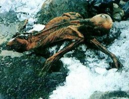 А вот самый древний альпинист, зовут его Otzi. Пролежал неупокоенный несколько тыщ лет.  Правда не в Гималаях, а в Альпах.