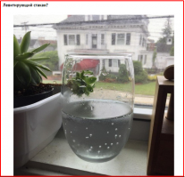 Это ВАЗА!!!
На размер посмотри