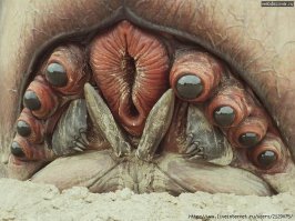 Тот самый пост, где комментарии просто огонь