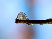 Угу. А тут не перевернуто...