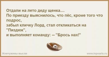 Барбос, Тузик и Мухтар: почему мы даем собакам такие клички?