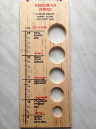 Российская ведущая пожаловалась на дельфинов-маньяков