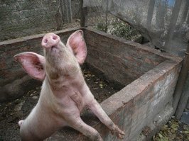 Вот тебе ответ, грустная девочка...