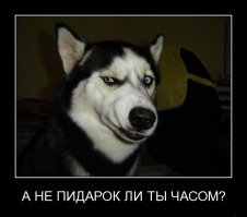 Американский канал умудрился сделать самый зрелищный прогноз погоды в истории: видео