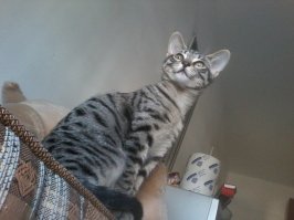 Мои подобранцы,возраст от 15 лет до одного года)))