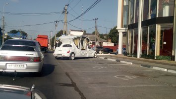 Автовсячина