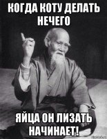 Автомобильные знаки ждут масштабные перемены. Госномера меняют размер и форму