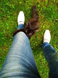 такой же говнюк растёт ))))