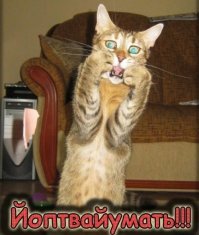 20 "прекрасных" цитат Малахова, похожих на бред сумасшедшего