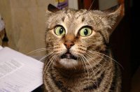 Сколько нужно минут, чтобы уничтожить репера? Новый трек Эминема бьёт рекорды