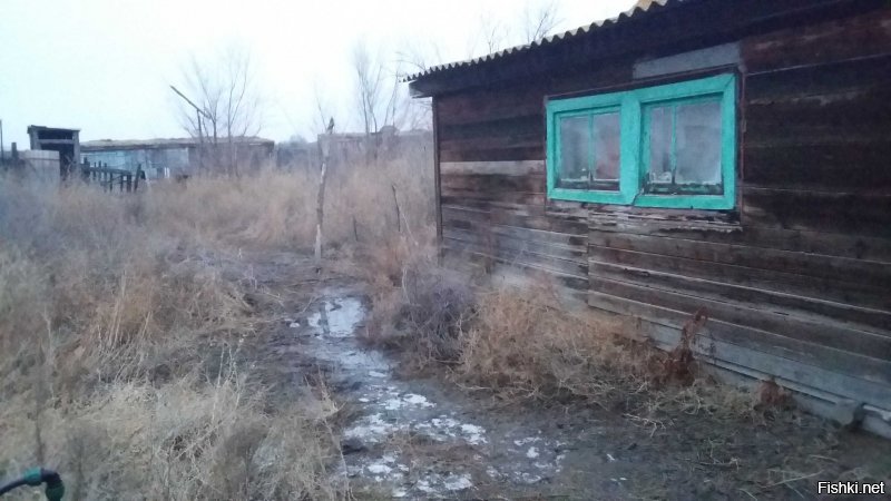 Самые часто задаваемые вопросы ИНОСТРАНЦАМИ в Санкт-Петербурге