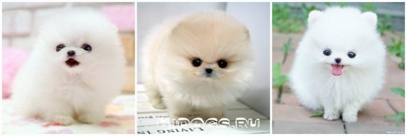 Ну не счет любой, я бы поспорил