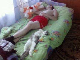 просто добавлю котиков...