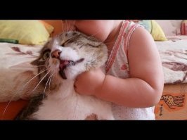 просто добавлю котиков...