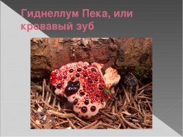 Ну, разросся немножко, с кем не бывает.