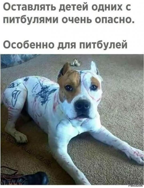 Кажись опять проблема в хозяине...