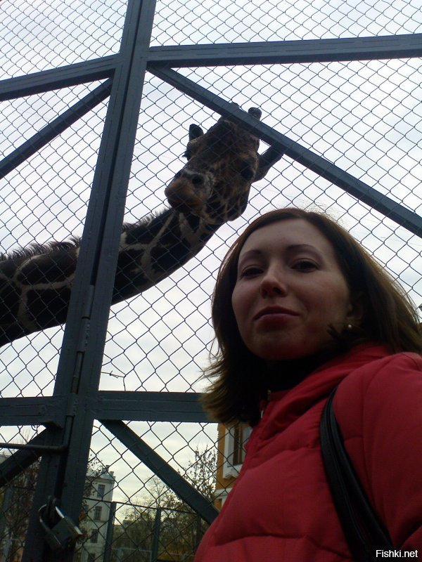 в зоопарке московском в 2008 году