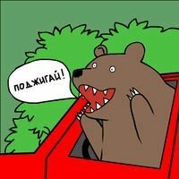 Медведь оказался запертым в машине и совершил эпичный побег
