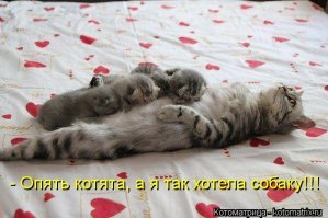 Заботливая мама