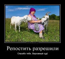 Верховный суд РФ изменил отношение к срокам за репосты