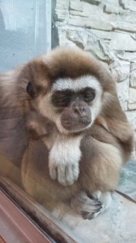 Грусняшка( март 2018