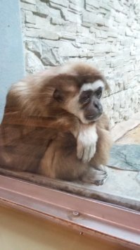 Грусняшка( март 2018