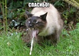 А хотите посмотреть на родственников Кирилла "руки-базуки"?