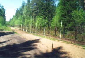 Шведы недавно русскую подводную лодку видели, только так и не нашли. Финны толпы больных кабанов видят. Только вот у нас ветеринарная служба не замечает эпидемии африканской чумы. Причём в РФ с очагами бодрятся очень жёстко, вырезая всё поголовье.  
Фотография плохая, но уверяю вас, между столбами есть суть. Причём это 2002 года, сейчас и КСП посовременнее и видеоконтроль имеется.