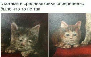Дамы с котиками