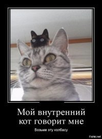 18 зверей, которые устроили пакости, но ничуть в этом не раскаиваются