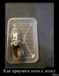 Смешные комментарии из соц.сетей