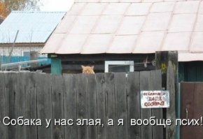 Пусть каждого, кто поставил минус этому посту, укусит очень злая и очень зубастая собака.
.