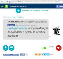 Предыдущий пост



.