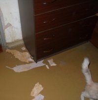 Раскаяние? Да пошли вы...