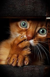 Секретная система