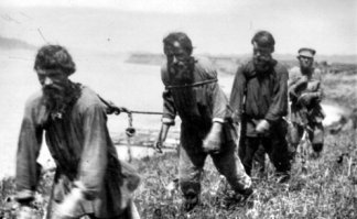 Речные круизы по Волге! Новые рабочие места!