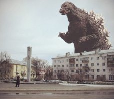 очень понравилась картинка