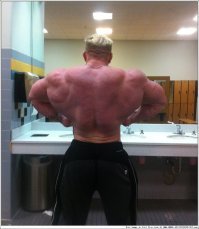 Автор намешал по незнанию одинаковых для него картинок.
Деннис Вольф и негр в серой майке (Андре Фергюсон) - проф. бодибилдеры и чемпионы.