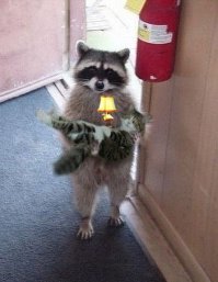 Что общего у предметов на фото?