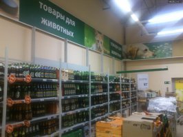 Пьяный кировский автомобилист научил гаишников ездить правильно